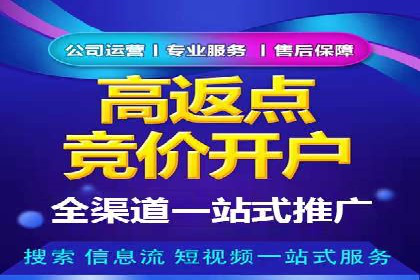 SEM推广实战：案例分析及效果评估